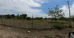 vendo Terreno de Playa en Punta Chame Sobre avenida principal Remate