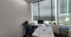 Alquiler de oficinas en costa del este amobladas